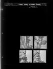 People having snowball fights (4 Negatives) (February 28, 1963) [Sleeve 70, Folder b, Box 29]
